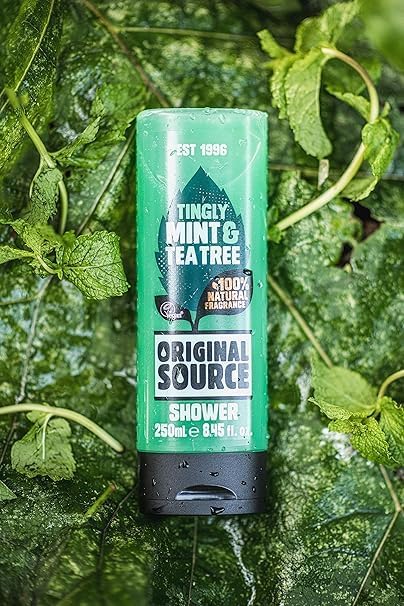 Original Source Mint & Tea Tree Shower Gel 250ml