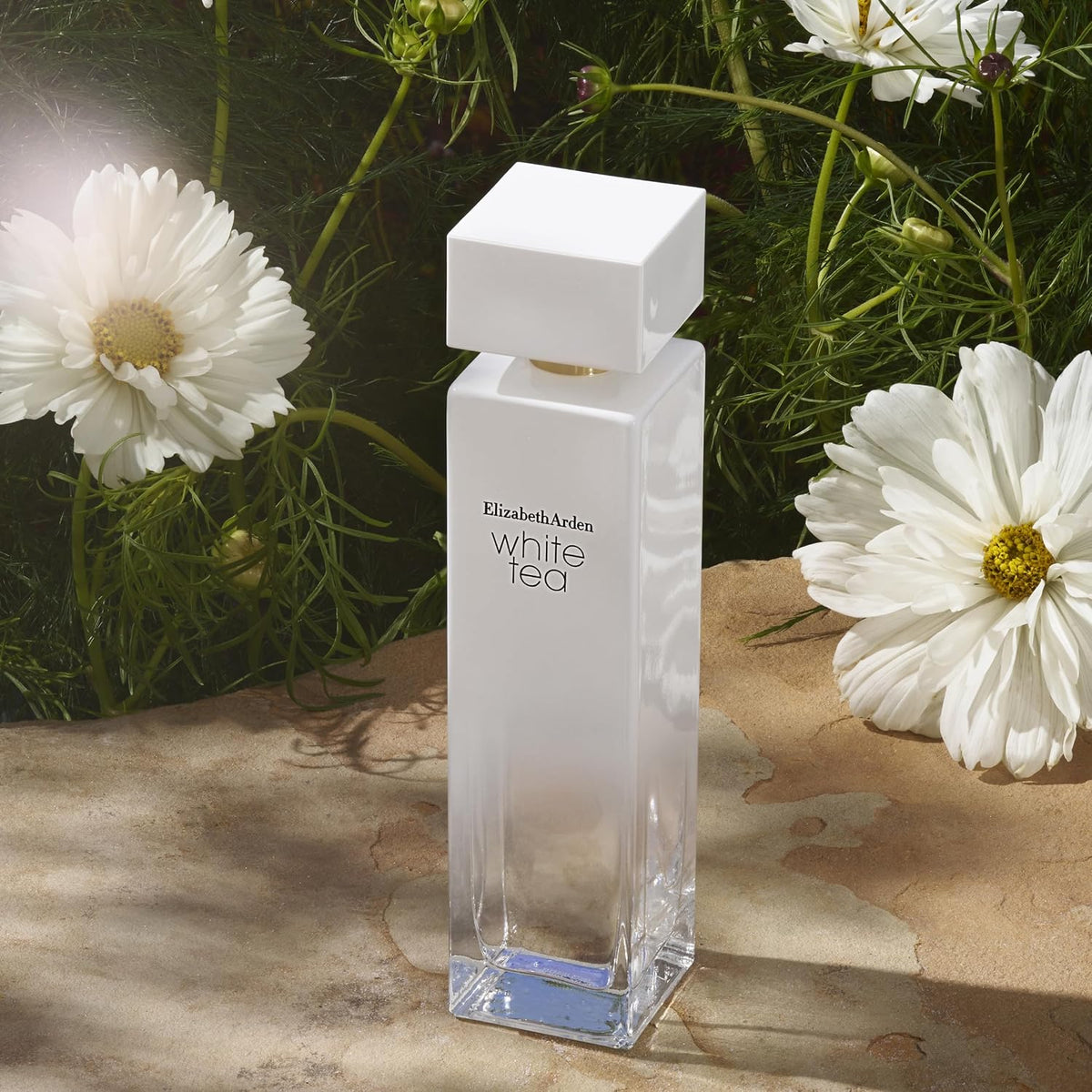 Elizabeth Arden White Tea EDT 50ml Women's Soft Floral & Musky Perfume